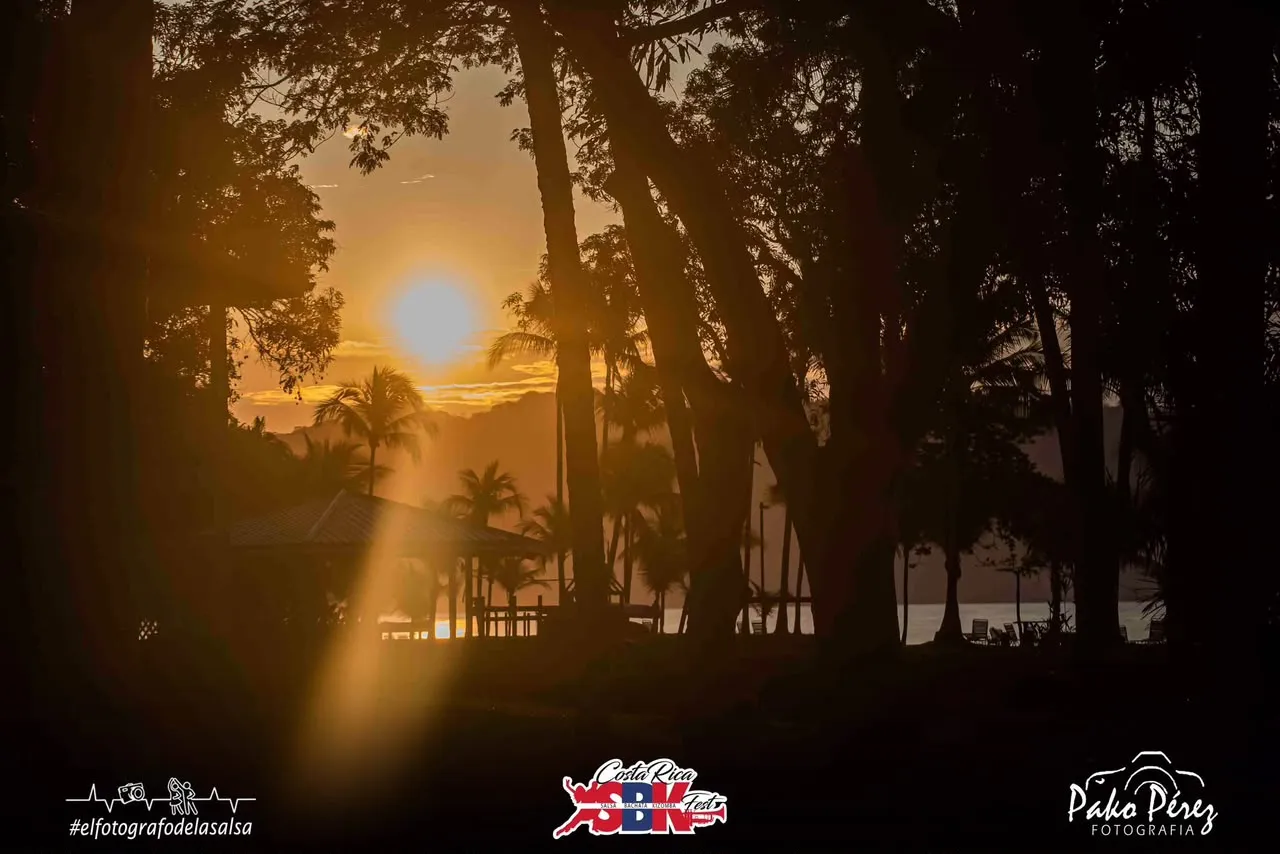 Atardecer entre las palmeras